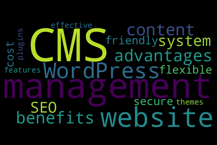 The Benefits Of Using CMS For Website Management